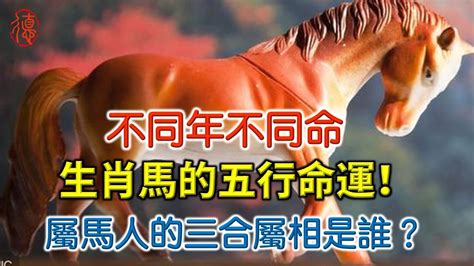 2002屬馬|【2002年生肖屬馬年命運】2002年屬馬人2022年運勢及運程02。